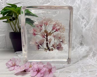 Floral Interior Decor - Cherry Blossom - Large