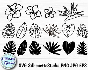 Download Tropical Flowers Svg Etsy