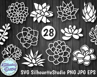 Download Succulent Svg Etsy