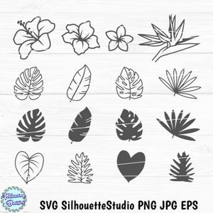 Tropical FLOWERS and LEAVES SVG, Tropical flowers, Floral, Summer, Tropical leaves, Paper cut template, Cut files for cricut and Silhouette