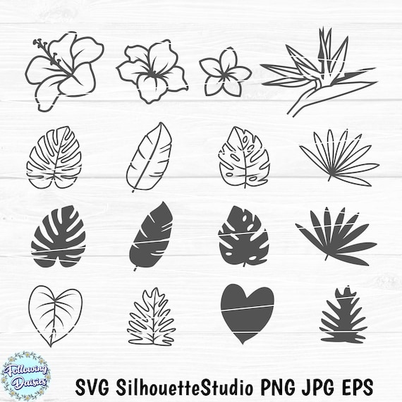 Tropische Blumen und Blätter (SVG), Tropische Blumen, Blumenmuster, Sommer, Tropische Blätter, Papierschneidevorlage, Schneidedateien für Cricut und Silhouette