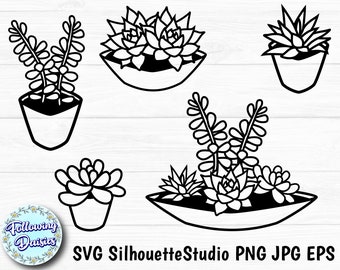 May include: Black and white line art of various succulent plants in pots and planters. The image includes several different arrangements, with the text "Following Daisies" and "SVG SilhouetteStudio PNG JPG EPS".
