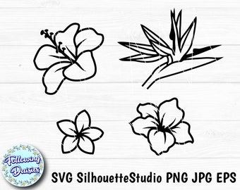 TROPICAL FLOWERS SVG, Floral, Summer, Jungle, Nature, Hawaiian tropical flowers, Paper cut template, Cut files for cricut and Silhouette