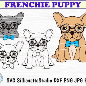 FRANZÖSISCHE BULLDOGGE SVG, Frenchie Welpe mit Brille svg, Frenchie SVG-Dateien, kleiner Hund SVG, Französische Bulldogge Gesicht SVG, Hund SVG-Dateien für Cricut