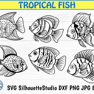 FISH SVG, Tropical fish svg, Sea animals svg, Ocean svg, Under the sea svg, Cute fish svg, Svg files for Cricut and Silhouette