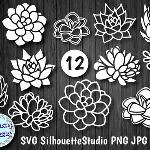 SUCCULENTS nl SVG Pack 1, Vetplanten silhouetten, Cactus, Planten, Papier gesneden sjabloon, Svg-bestanden voor cricut en silhouet, Instant download