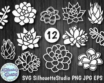 May include: A set of 12 black and white succulent SVG cut files. The files are perfect for creating crafts, decorations, and more.