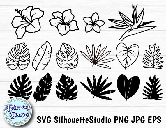Free Free 227 Tropical Flower Leaves Svg SVG PNG EPS DXF File