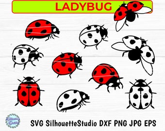 Ladybug SVG Bundle: Spring Insect Cut Files, Cricut & Silhouette