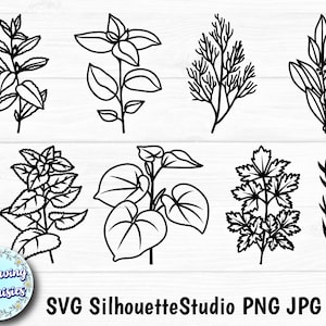 PIANTE AROMATICHE Confezione 2 in SVG, Rami, Foglie, Erbe, Modello di carta ritagliata, File Svg per Cricut e Silhouette, Uso personale e commerciale