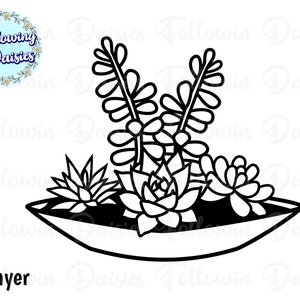 May include: Black and white line art of a succulent arrangement in a shallow, oval-shaped planter. The arrangement includes various succulent types, with the text "1 Layer" at the bottom. The top left corner features a circular logo with the text "Following Daisies".