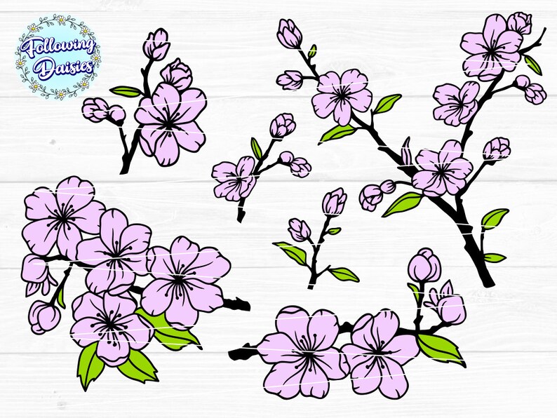 Cherry Blossom SVG Bundle: Layered Spring Flowers, Cricut & Silhouette ...