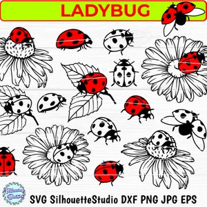 Coccinelle SVG, svg coccinelle en couches, lot de svg coccinelle, conception svg coccinelle, svg printemps, fleurs svg, fichiers de coupe pour cricut et Silhouette