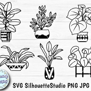 PLANTAS en SVG, Plantas del hogar, Plantas en maceta, Maceta, Jardinería, Jardín, Plantas de interior, Archivos svg para Cricut y Silhouette