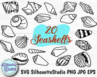 SEASHELLS in SVG, Seashells Bundle, Summer, Beach, Ocean, Shell, Sea, Svg files for cricut and silhouette, Paper cut template