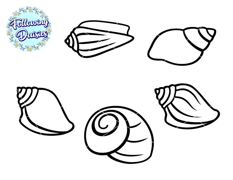 SEASHELLS in SVG Seashells Bundle Summer Beach Ocean - Etsy