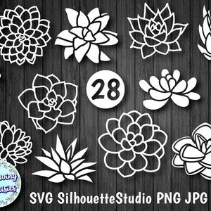 SUCCULENT Mega Pack en SVG, 28 Silhouettes de plantes grossières, Cactus, Téléchargement immédiat, Fichiers de coupe pour Cricut et Silhouette