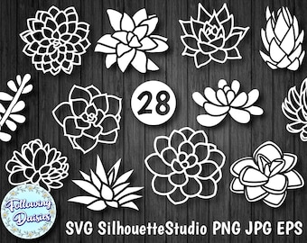 SUCCULENTS BUNDLE in SVG, 28 Succulents Silhouettes, Paper cut template, Svg files for Cricut and Silhouette, Instant download