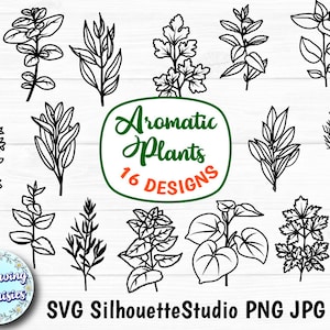 PIANTE AROMATICHE Pacchetto in SVG, Rami, Foglie, Erbe, Modello di carta ritagliata, File Svg per Cricut e Silhouette, Uso personale e commerciale