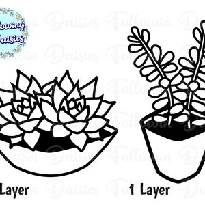 May include: Black and white line art of two succulent plants in pots. One is a rosette shape in a shallow bowl, the other is a taller plant in a geometric pot. The text "1 Layer" is below each plant. The logo "Following Daisies" is in the upper left.