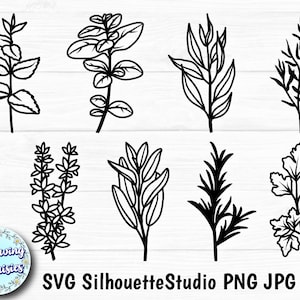 PIANTE AROMATICHE Confezione 1 in SVG, Rami, Foglie, Erbe, Modello di carta ritagliata, File Svg per Cricut e Silhouette, Uso personale e commerciale