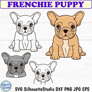 FRANZÖSISCHE BULLDOGGE SVG, Frenchie Welpen SVG, Französische Bulldogge SVG-Dateien, Kleiner Hund SVG, Französische Bulldogge Gesicht SVG, Hund SVG-Dateien für Cricut