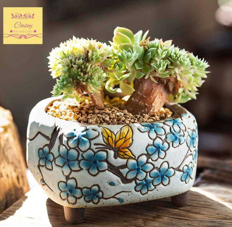 Set of 2 Korean styles succulent planter ceramic cactus