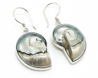 Handmade Nautilus Shell Earrings: Sterling Silver Dangle, Ocean Jewelry