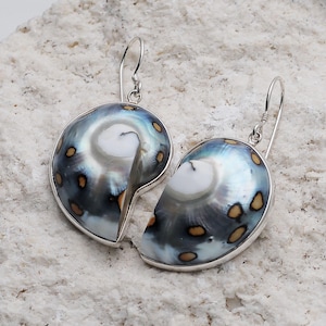 Nautilus Shell Sterling Silver Earrings: Beach Wedding Jewelry