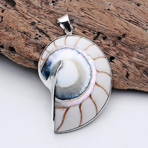 Könnte beinhalten: Anhänger mit Nautilus-Muschel und silberner Öse. Der Anhänger zeigt ein weißes, cremefarbenes und schillerndes Muscheldesign mit braunen Akzenten. Die Muschel ist vor einem natürlichen Holzgrund platziert.