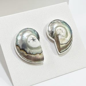 May include: A pair of silver-toned stud earrings. Each earring features a half-shell design with iridescent colors of gray, silver, and brown. The earrings are displayed on a white card.