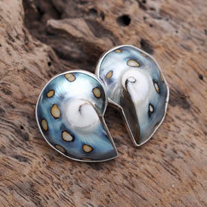 Pendientes de concha de nautilus auténtica hechos a mano, regalo de plata de ley 925 para mujer, joyería de concha natural de alta calidad.