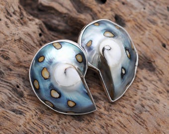 Nautilus Shell Sterling Silver Stud Earrings: Boho Ocean Jewelry