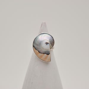 May include: A ring featuring a polished nautilus shell segment set in a silver frame. The shell displays a smooth, iridescent surface with a gradient of pearlescent white, grey, and soft tan tones, showcasing the natural spiral structure of the chamber.