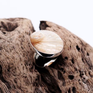 Puede incluir: Un anillo de plata con una incrustación de concha blanca. El anillo está colocado sobre un trozo de madera a la deriva.