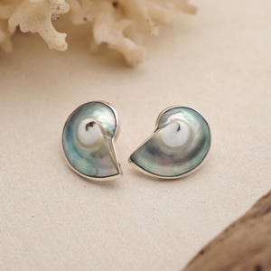 Örhängen i sterlingsilver med nautilusskal: Boho Ocean Smycken