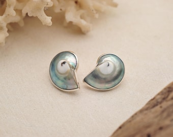 Nautilus Shell Sterling Silver Stud Earrings: Boho Ocean Jewelry
