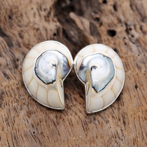 May include: A pair of nautilus shell earrings with a silver border. The earrings feature a cream-colored exterior with a pearlescent, swirling interior of blues and grays. The earrings are displayed on a textured, wooden surface.