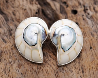 Nautilus Shell Sterling Silver Stud Earrings: Boho Ocean Jewelry