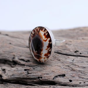 May include: A silver ring featuring a round, brown and white seashell inlay. The ring is displayed on a piece of weathered wood.