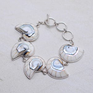 Puede incluir: Una pulsera de plata con cinco abalorios de concha de nautilus blanca. La pulsera tiene un cierre de palanca.