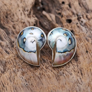 Genuine Nautilus Shell Stud Earrings, Handmade 925 Sterling Silver - Natural Shell Gift for Women, High Quality