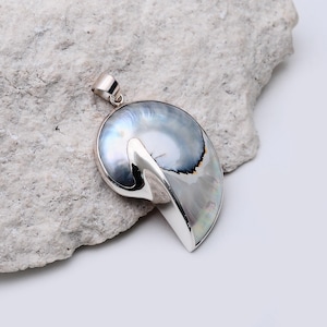 Coquillage Nautilus avec pendentif en argent sterling 925