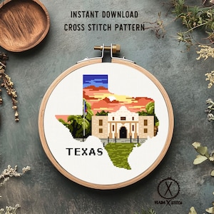 Texas  state Modern Cross Stitch Pattern, Alamo cross stitch, nature counted cross stitch chart, landscape, embroidery, instant PDF