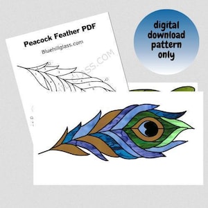 Padrão de vitral com pena de pavão - Somente para download digital - Faça você mesmo com vitrais - Pássaro - Animais - Natureza - Fazenda - Padrões para vidro