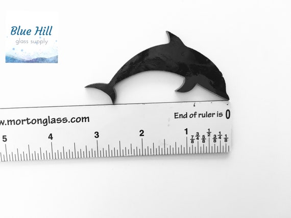 dolphin imaging ruler