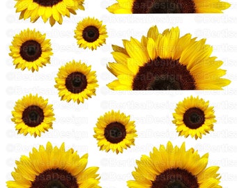 Download Sunflower decal svg | Etsy