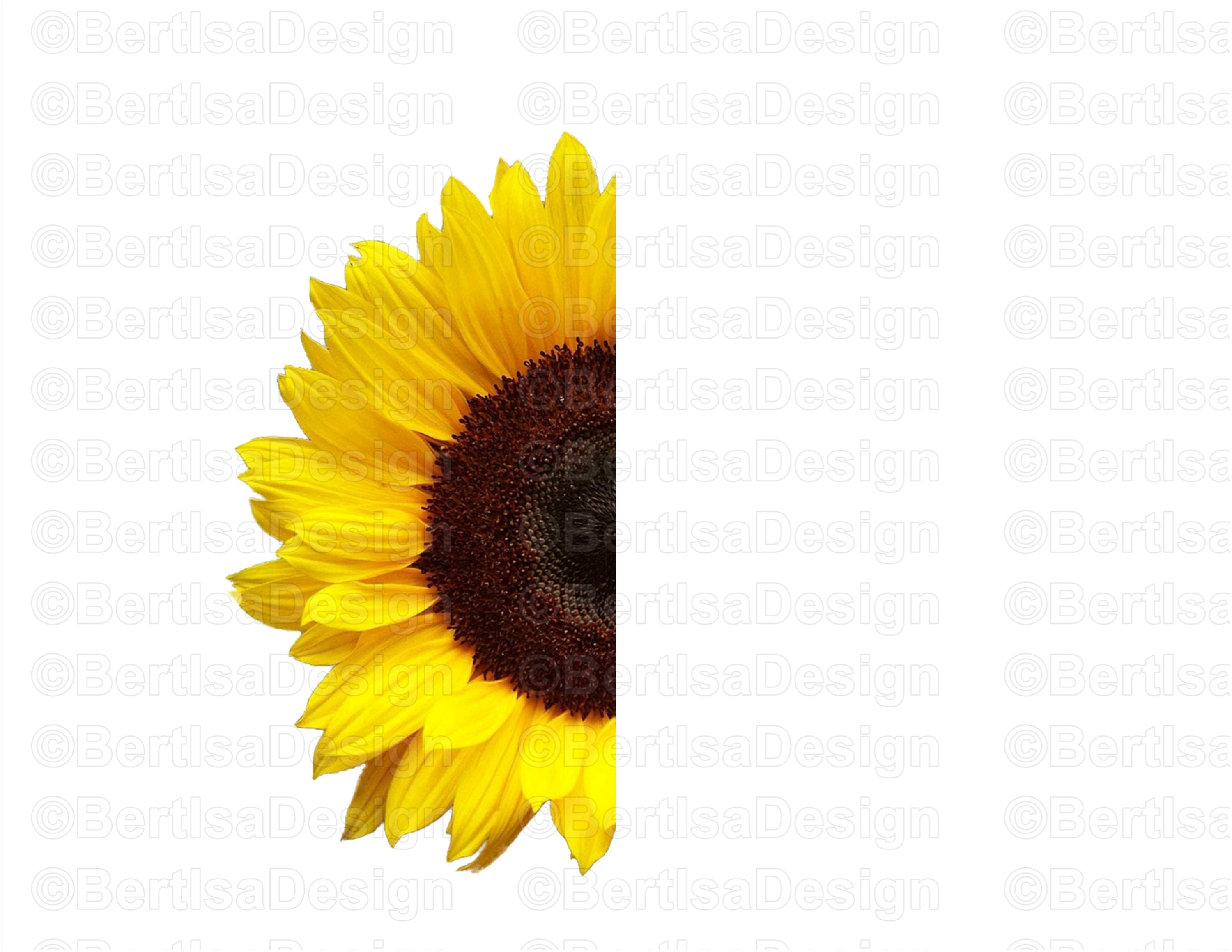 Half Sunflower Whole Sunflower Digital Download Clip Art - Etsy UK