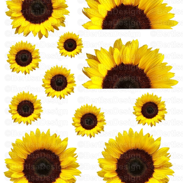 Sunflowers, Large, Waterslide, Decal, Tumbler, Clip art, Clipart, Transfer Image, Tumbler waterslide, Full Sheet-Digital file