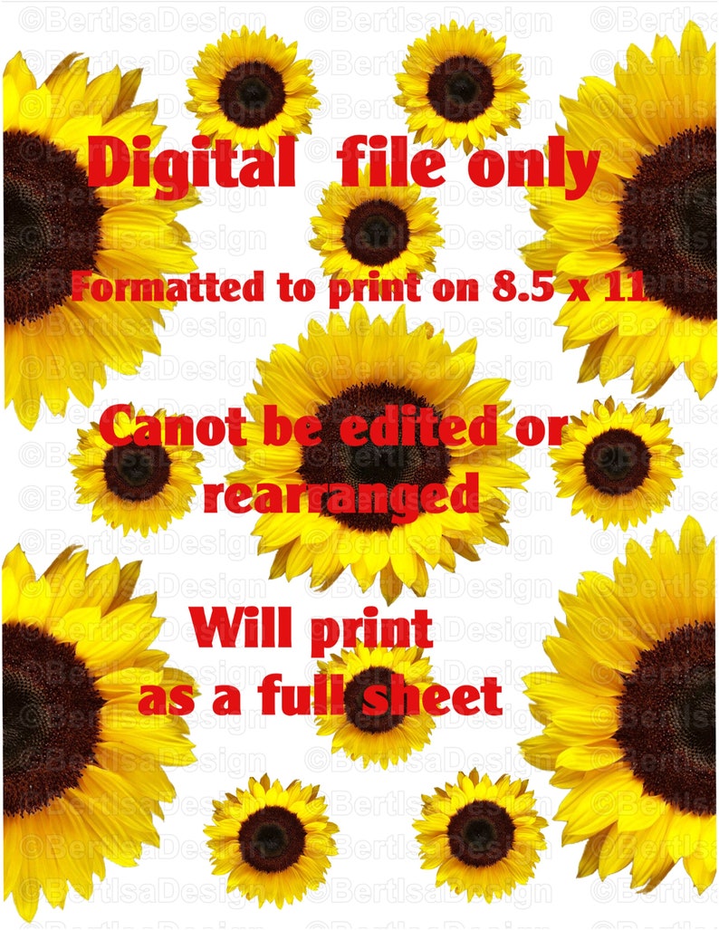 Free Free 52 Realistic Waterslide Sunflower Svg SVG PNG EPS DXF File